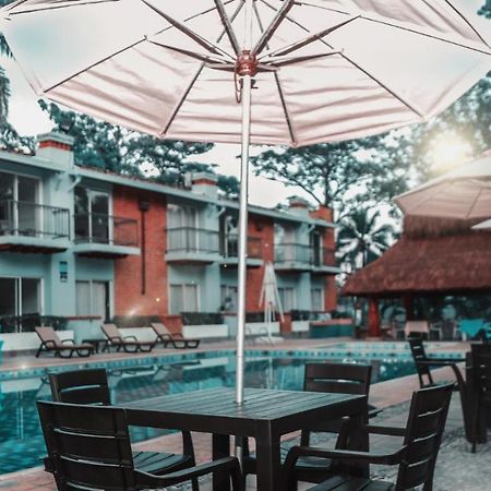 Hotel Y Restaurante Meson Del Gitano Caucasia Kültér fotó